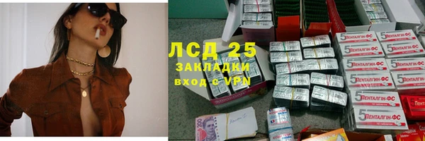 шишки Майский