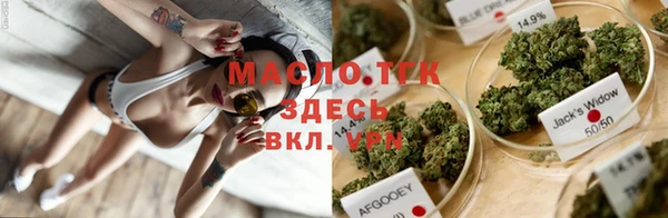 шишки Майский