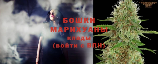 шишки Майский