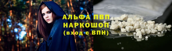 эйфоретик Аркадак