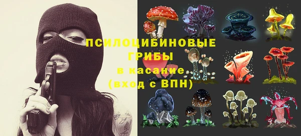 шишки Майский