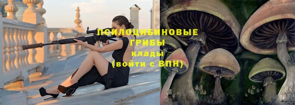 шишки Майский
