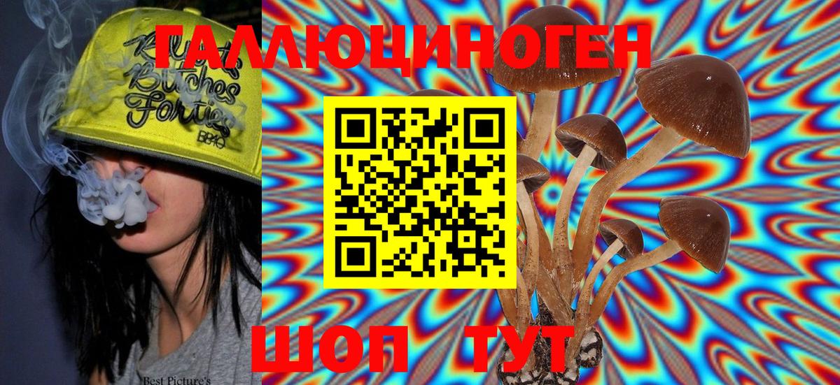 Псилоцибиновые грибы Psilocybe Норильск