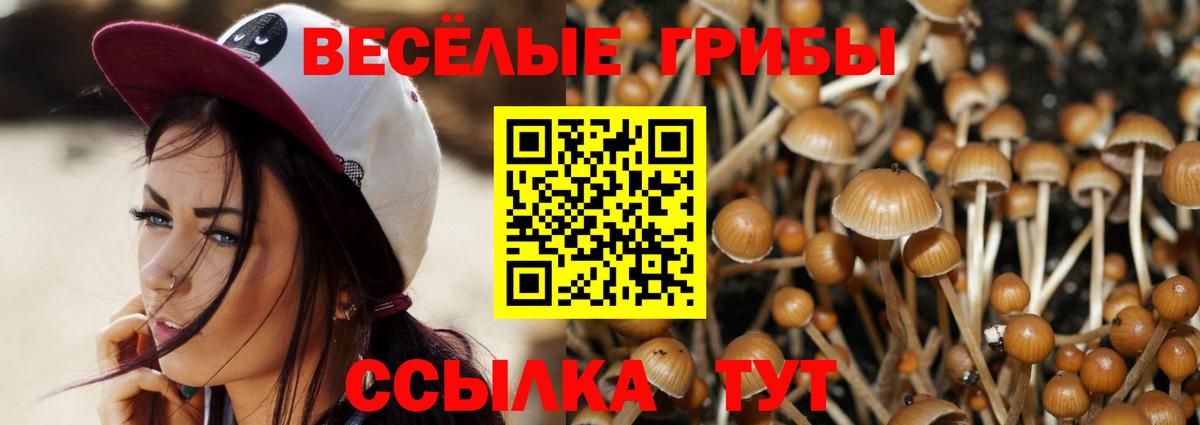 Норильск  Псилоцибиновые грибы Cubensis  Вход с VPN 